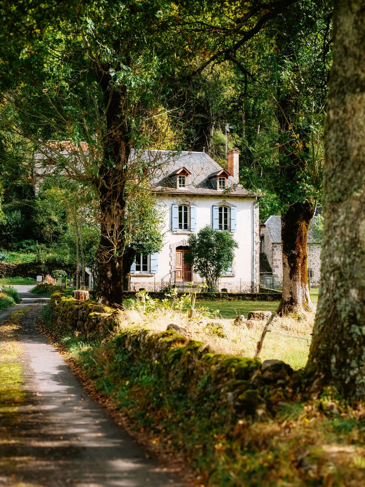 Sunlit French country house with blue shutters down a stone lane